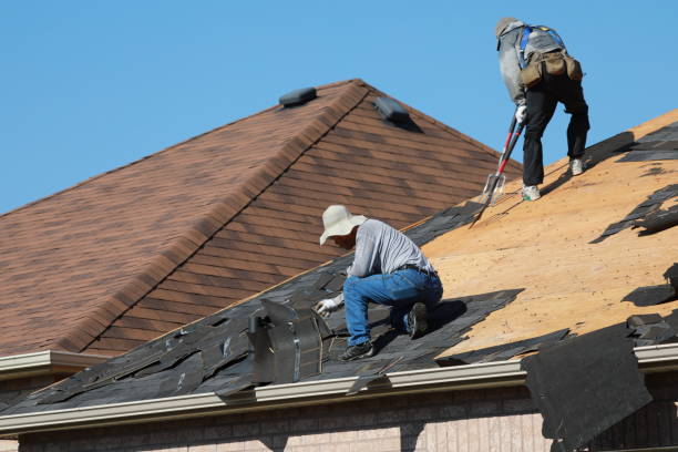 Best Solar Panel Roofing Installation  in South Haven, MI