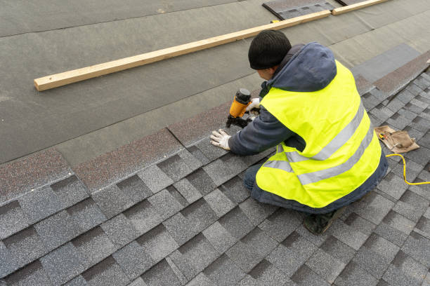 Best Sheet Metal Roofing  in South Haven, MI