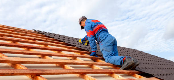 Best Roof Coating and Sealing  in South Haven, MI