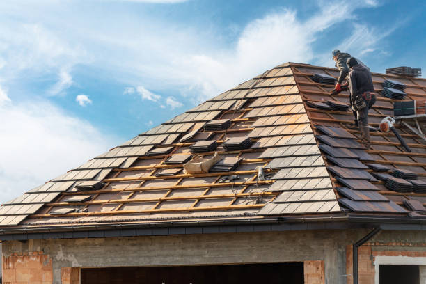 Best Roof Leak Repair  in South Haven, MI