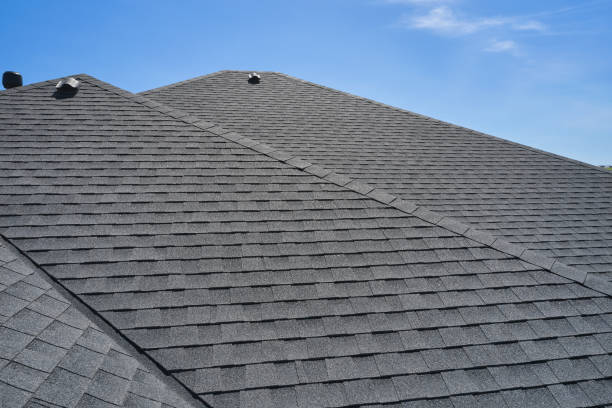 Best Roof Ventilation Installation  in South Haven, MI