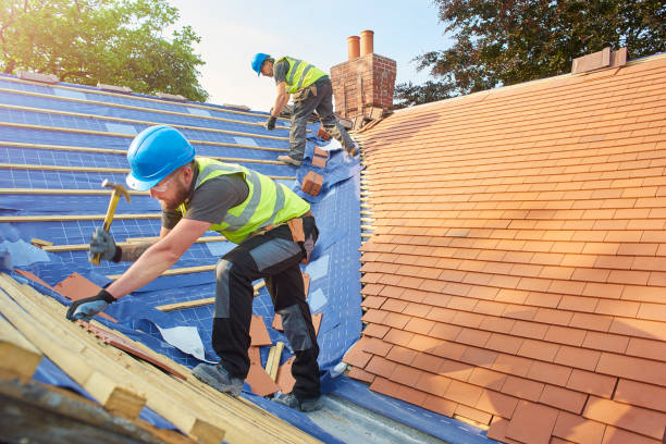 Best Skylight Installation and Repair  in South Haven, MI